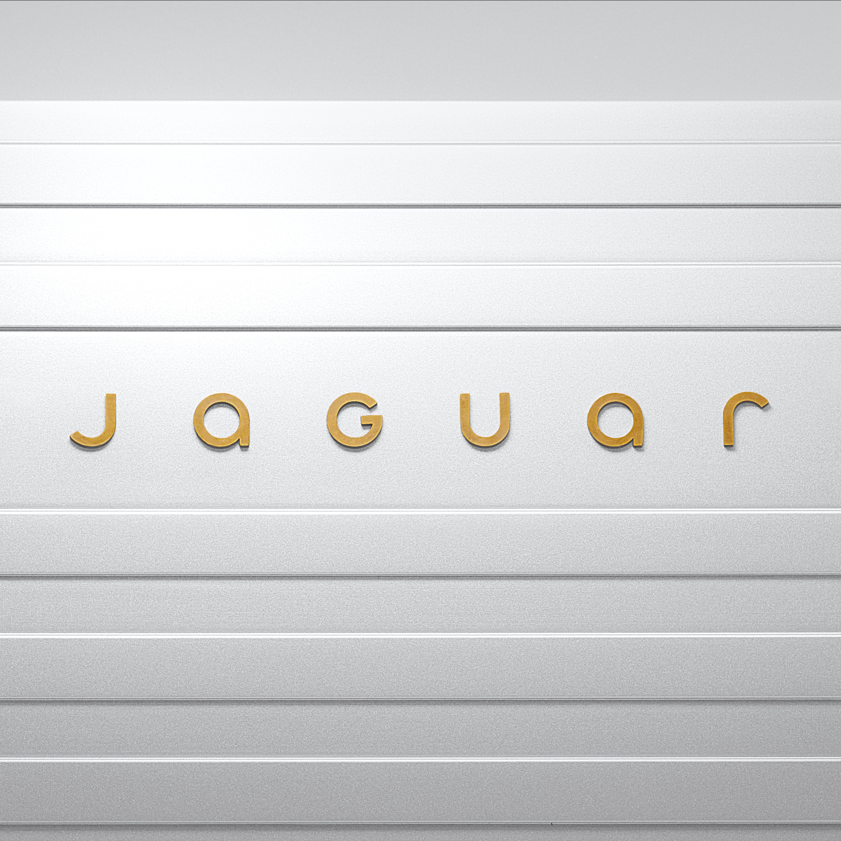 Jaguar device mark introduced in November 2024